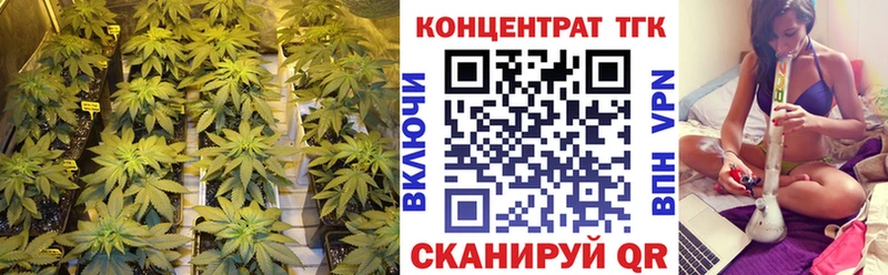 Купить закладки  Строитель  ТГК THC oil 