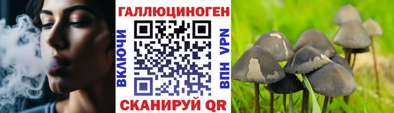 Купить  Строитель  Галлюциногенные грибы Psilocybine cubensis 