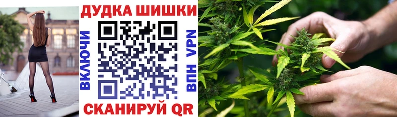 Купить где  Строитель  Канабис индика 